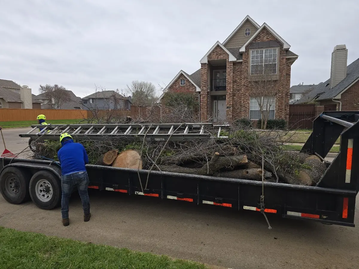Expert Tree Fertilization with proper safety equipment in Agness